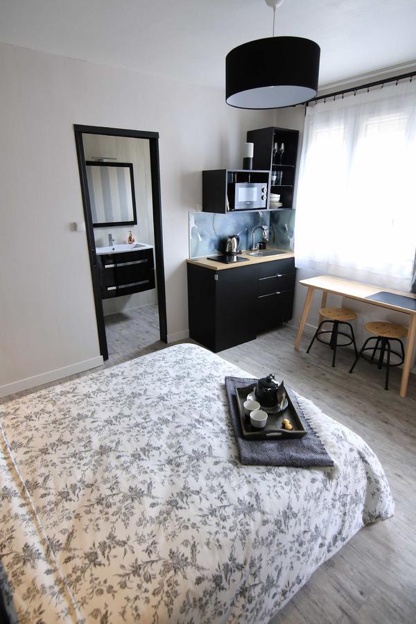 Le Nid Bord De La Loire Apartment Orleans Exterior photo